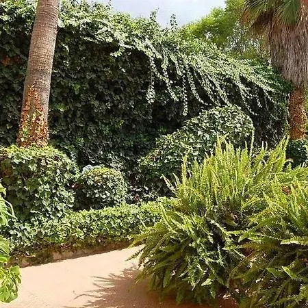 La Serenidad Prázdninový dům Arona (Tenerife)